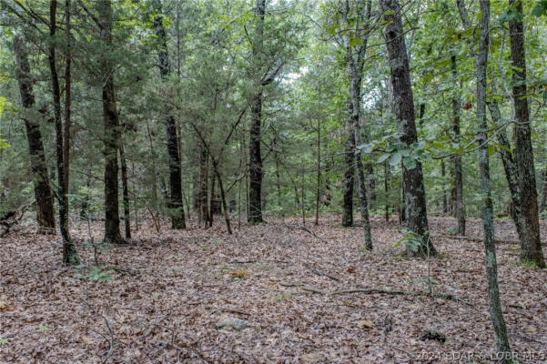 TBD SUNFLOWER LANE, OUT OF AREA (BDAR), MO 65470 - Image 1