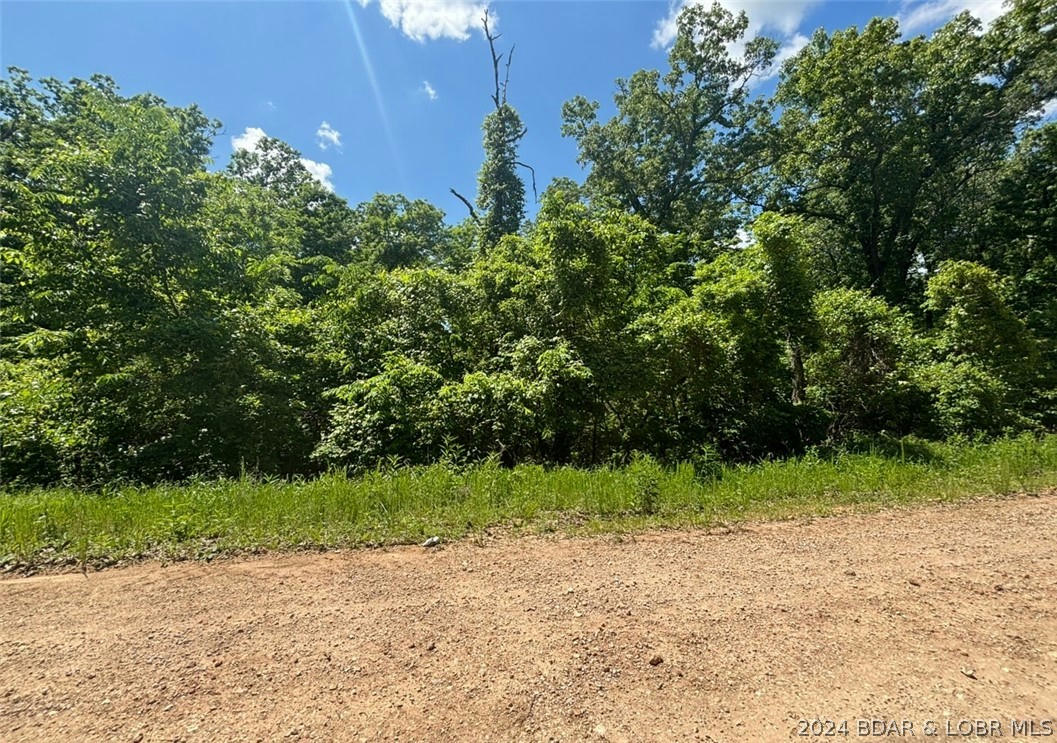 2.67 ACRES CAMELLIA ROAD, GRAVOIS MILLS, MO 65037, photo 1 of 2