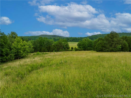 TBD WEBER FARM ROAD, MONTREAL, MO 65591 - Image 1