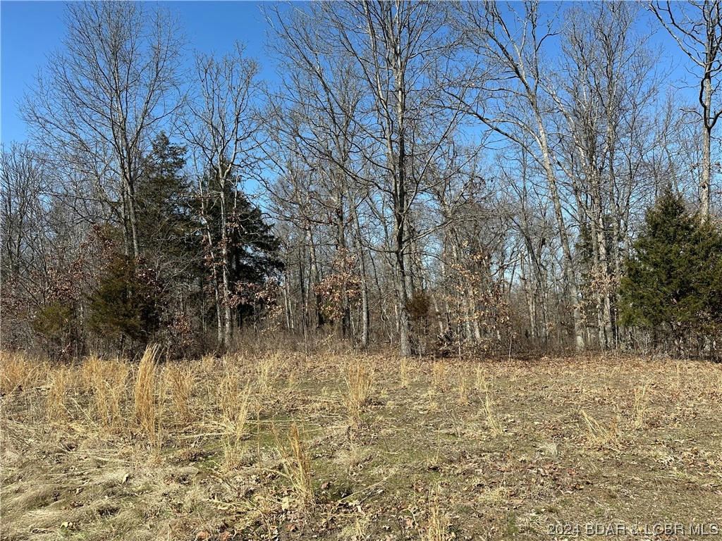 32677 COUGAR WAY, COLE CAMP, MO 65325 Vacant Land For Sale | MLS ...