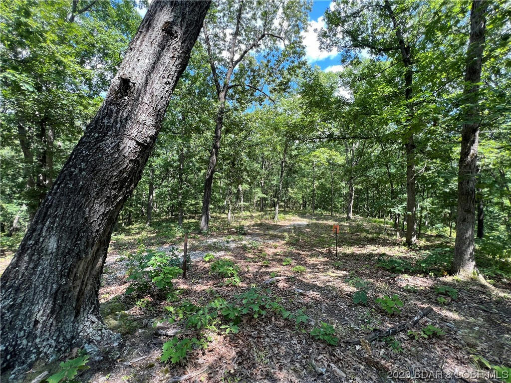 LOT M NONE, GRAVOIS MILLS, MO 65037, photo 1 of 10