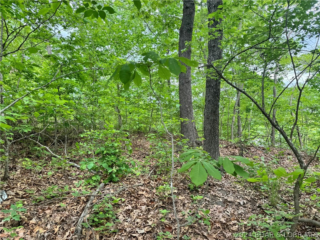 LOT 3 THOMPSON HILLS, STOVER, MO 65078, photo 1 of 6